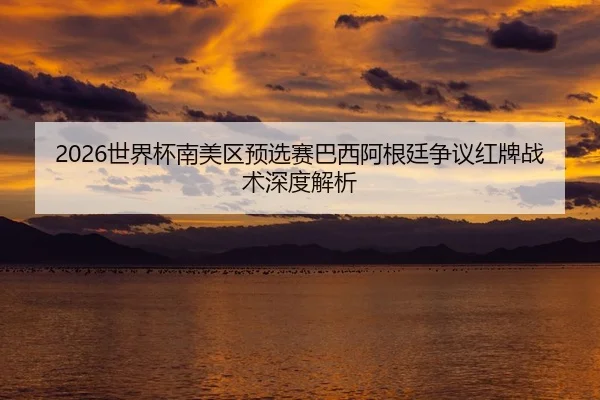 2026世界杯南美区预选赛巴西阿根廷争议红牌战术深度解析